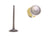 DJ Rock IV151 Engine Intake Valve