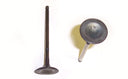 DJ Rock IV162 Engine Intake Valve