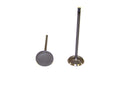 DJ Rock IV263 Engine Intake Valve