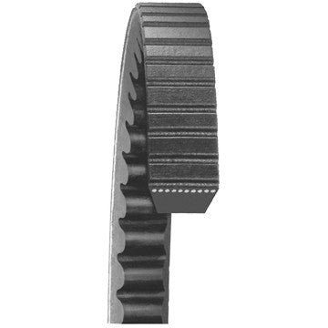 Dayco 24365 Accessory Drive Belt - Fan or Generator