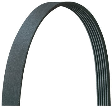 Drive Rite 5060890DR Serpentine Belt - Main Drive