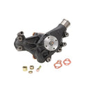 Dayco DP10031 Engine Water Pump
