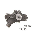Dayco DP1011 Engine Water Pump