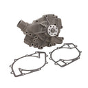 Dayco DP1054 Engine Water Pump