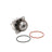 Dayco DP1118 Engine Water Pump