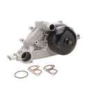 Dayco DP1317 Engine Water Pump