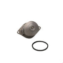 Dayco DP172 Engine Water Pump