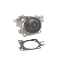 Dayco DP242 Engine Water Pump