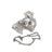 Dayco DP440 Engine Water Pump