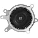 Dayco DP807BH Engine Water Pump