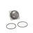Dayco DP828 Engine Water Pump