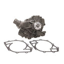 Dayco DP830 Engine Water Pump