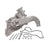 Dayco DP863 Engine Water Pump