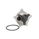 Dayco DP969 Engine Water Pump