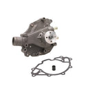 Dayco DP991 Engine Water Pump