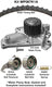 Dayco WP087K1A Engine Timing Belt Kit with Water Pump