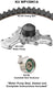 Dayco WP139K1A Engine Timing Belt Kit with Water Pump