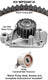 Dayco WP224K1A Engine Timing Belt Kit with Water Pump