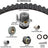 Dayco WP301K1AS Engine Timing Belt Kit with Water Pump