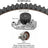 Dayco WP312K1A Engine Timing Belt Kit with Water Pump