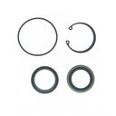 Edelmann 8783 Steering Gear Pitman Shaft Seal Kit