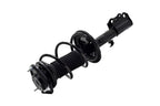 FCS 1331601R Suspension Strut and Coil Spring Assembly - Front Right