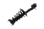 FCS 1331612L Suspension Strut and Coil Spring Assembly - Rear Left