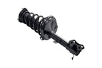 FCS 1331612R Suspension Strut and Coil Spring Assembly - Rear Right