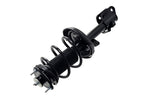 FCS 1331634R Suspension Strut and Coil Spring Assembly - Front Right