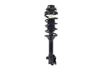 FCS 1331652L Suspension Strut and Coil Spring Assembly - Rear Left