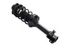 FCS 1331652R Suspension Strut and Coil Spring Assembly - Rear Right