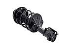 FCS 1331663L Suspension Strut and Coil Spring Assembly - Front Left