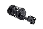 FCS 1331663R Suspension Strut and Coil Spring Assembly - Front Right