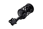 FCS 1332342L Suspension Strut and Coil Spring Assembly - Front Left