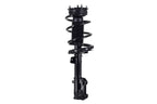 FCS 1332349 Suspension Strut and Coil Spring Assembly - Front