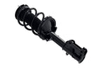 FCS 1332349 Suspension Strut and Coil Spring Assembly - Front