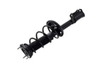 FCS 1332369L Suspension Strut and Coil Spring Assembly - Rear Left