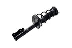 FCS 1332369L Suspension Strut and Coil Spring Assembly - Rear Left