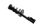 FCS 1332369L Suspension Strut and Coil Spring Assembly - Rear Left