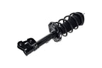 FCS 1333443R Suspension Strut and Coil Spring Assembly - Front Right