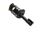 FCS 1333495 Suspension Strut and Coil Spring Assembly - Front