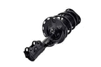 FCS 1333524R Suspension Strut and Coil Spring Assembly - Front Right