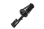 FCS 1333717L Suspension Strut and Coil Spring Assembly - Rear Left