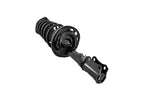 FCS 1333717L Suspension Strut and Coil Spring Assembly - Rear Left