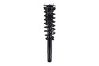 FCS 1335790 Suspension Strut and Coil Spring Assembly - Front