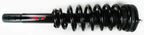 FCS 1335790 Suspension Strut and Coil Spring Assembly - Front