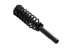 FCS 1335790 Suspension Strut and Coil Spring Assembly - Front