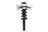 FCS 1335832R Suspension Strut and Coil Spring Assembly - Front Right