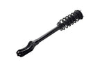 FCS 1335883R Suspension Strut and Coil Spring Assembly - Front Right