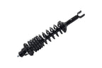 FCS 1336317L Suspension Strut and Coil Spring Assembly - Rear Left